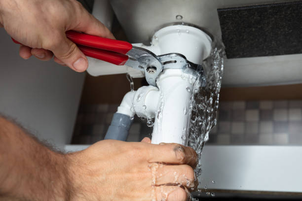Best Carpet water damage restoration  in Walthourville, GA