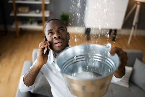 Walthourville, GA Water damage restoration Company