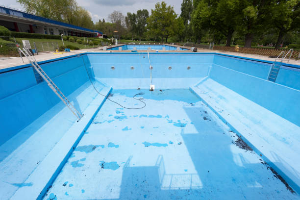 Best Flood damage cleanup  in Walthourville, GA