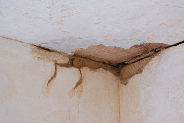  Walthourville, GA Water damage restoration Pros