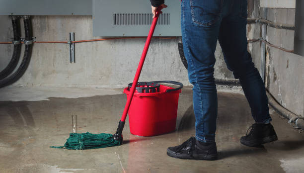 Best Emergency water extraction  in Walthourville, GA