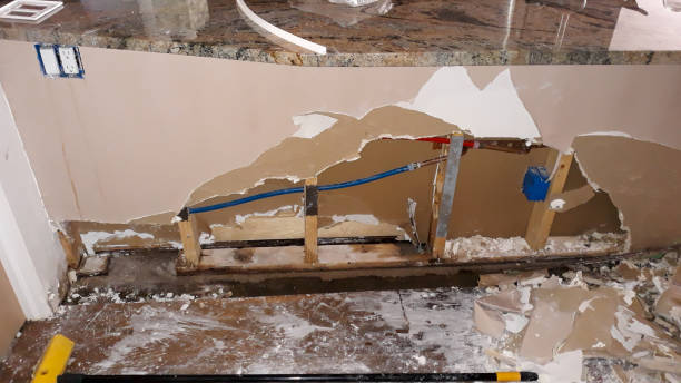 Best Flood damage cleanup  in Walthourville, GA