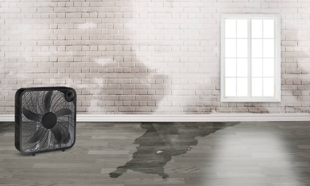  Walthourville, GA Water damage restoration Pros