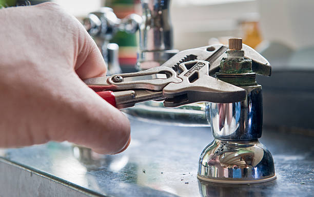 Best Water damage cleanup near me  in Walthourville, GA