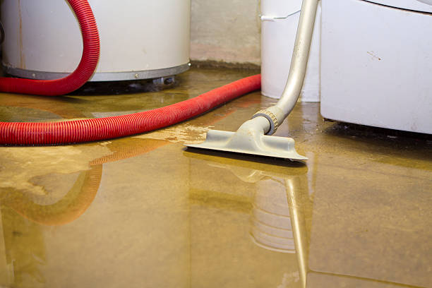Best Local water damage restoration  in Walthourville, GA