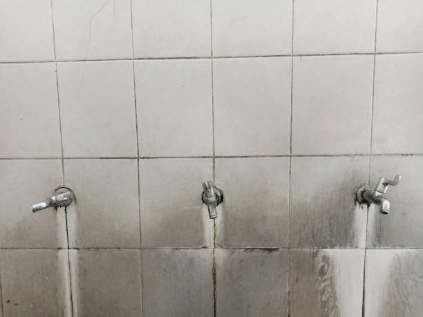 Best Water damage restoration near me  in Walthourville, GA