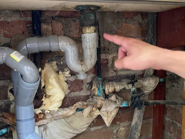 Best Ceiling water damage repair  in Walthourville, GA
