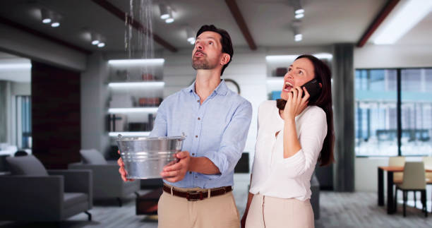 Best Water damage restoration mold remediation  in Walthourville, GA