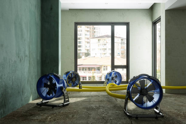 Best Emergency water damage restoration  in Walthourville, GA