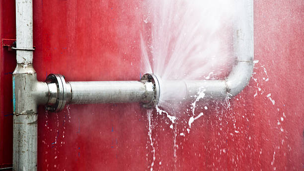 Best Professional water damage repair  in Walthourville, GA
