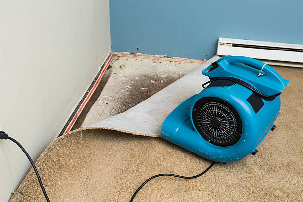 Best Water damage restoration insurance claims  in Walthourville, GA
